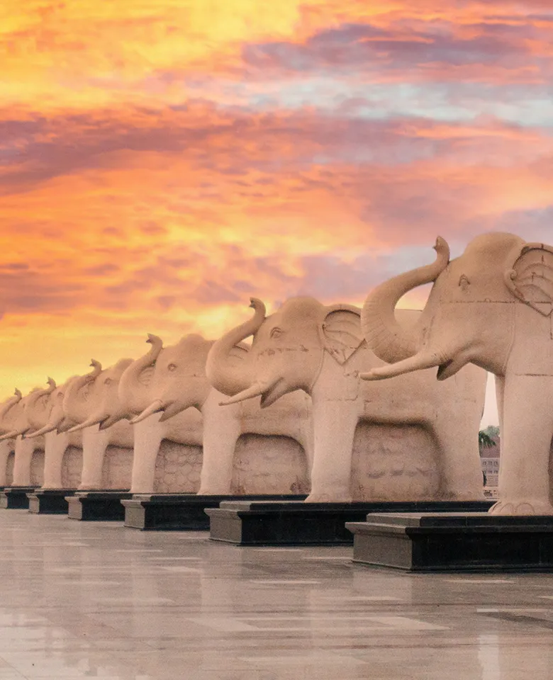 Invest Mobile Banner